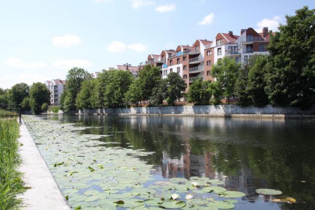Apartament Bello - Free Parking Appartement Gdańsk Buitenkant foto
